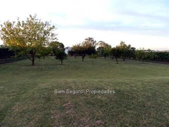 https://www.gallito.com.uy/gran-terreno-en-venta-en-camino-de-las-colmenas-inmuebles-16929114