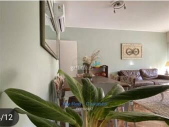 https://www.gallito.com.uy/susena-group-multinacional-inmobiliaria-alquila-inmuebles-22988557
