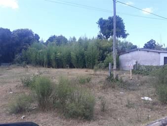 https://web5.gallito.com.uy/venta-terreno-578m²-en-rocha-inmuebles-23230327