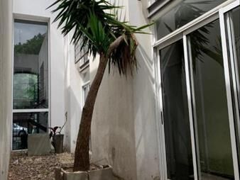 https://web5.gallito.com.uy/alquiler-parque-rodo-edificio-inmuebles-23273173