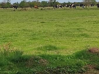 https://web5.gallito.com.uy/espectacular-campo-en-venta-inmuebles-23640499