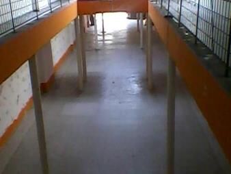 https://web5.gallito.com.uy/alsir-sobre-8-de-octubre-muy-buen-local-460m2-edif-crenta-inmuebles-23644976