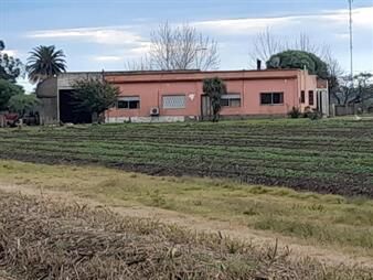 https://web5.gallito.com.uy/colmenas-a-800-mts-de-avda-jose-belloni-inmuebles-24122608