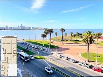 https://web5.gallito.com.uy/oportunidad-excelente-planta-frente-a-la-rambla-inmuebles-24174142