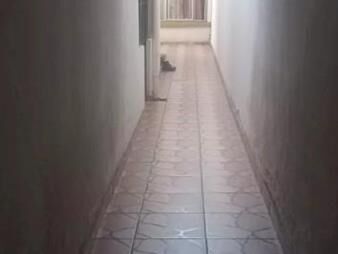 https://www.gallito.com.uy/lindo-apto-1-dorm-paso-molino-inmuebles-24254806