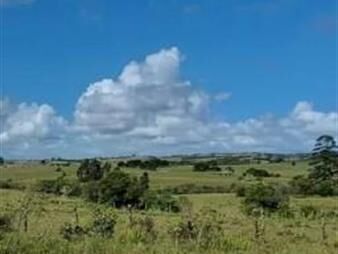 https://web5.gallito.com.uy/hermosa-chacra-agricola-inmuebles-24384699