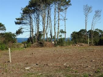 https://www.gallito.com.uy/terrenos-altos-con-vista-al-oceano-inmuebles-24528128