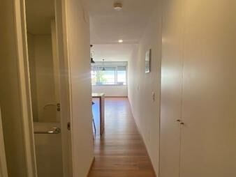 https://web5.gallito.com.uy/monoambiente-punta-caretas-inmuebles-24532797