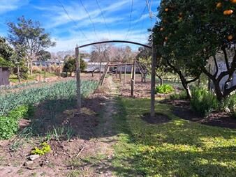 https://web5.gallito.com.uy/gran-terreno-con-tierra-fertil-casa-3-dorm-2-baños-parrilla-inmuebles-24645751