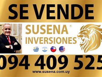 https://web5.gallito.com.uy/susena-inversiones-vende-casa-c-jardin-inmuebles-24832230