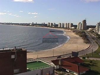 https://web5.gallito.com.uy/apartamento-en-peninsula-3-dormitorios-inmuebles-17596737