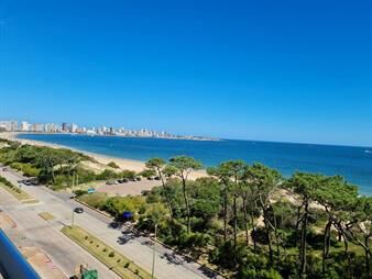 https://web5.gallito.com.uy/apto-1-dorm-y-medio-liv-com-terrazas-punta-del-este-inmuebles-25151209