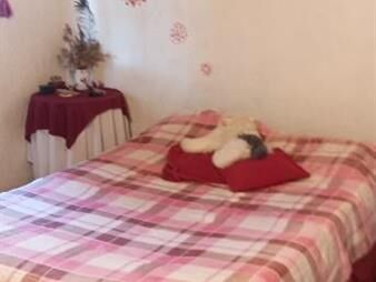 https://www.gallito.com.uy/casa-pinamar-4-dorm-inmuebles-25289727