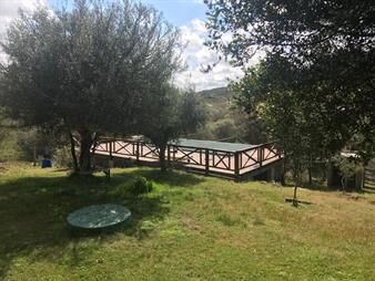 https://web5.gallito.com.uy/campo-de-40-hectareas-en-poblado-colon-lavalleja-inmuebles-25509114