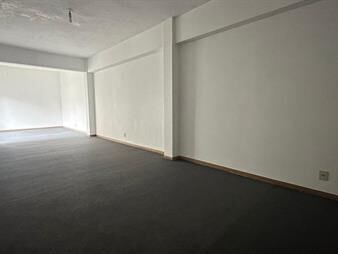 https://web5.gallito.com.uy/baldovino-ciudad-vieja-piedras-y-treinta-y-tres-inmuebles-25640104