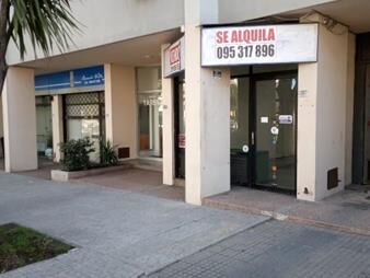 https://web5.gallito.com.uy/local-avenida-italia-frente-al-hospital-de-clinicas-inmuebles-25334471