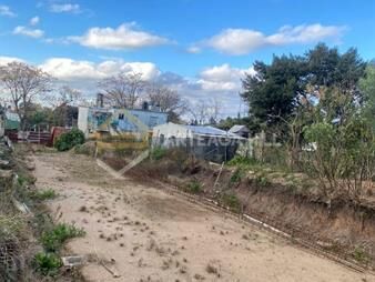 https://web5.gallito.com.uy/terreno-al-frente-inmuebles-25772073