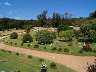 https://www.gallito.com.uy/chacra-de-8-hectareas-en-laguna-del-sauce-sobre-ruta-12-inmuebles-25817294