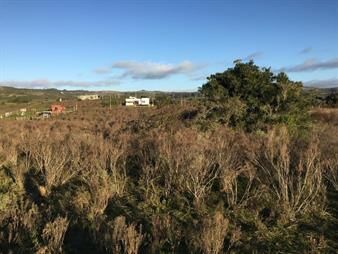 https://www.gallito.com.uy/venta-terreno-en-marcos-de-los-reyes-lavalleja-inmuebles-25889568