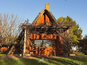 https://web5.gallito.com.uy/venta-chacra-a-las-afueras-de-nueva-helvecia-inmuebles-26052439