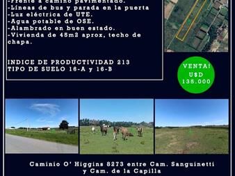 https://www.gallito.com.uy/vende-chacra-45-ha-rincon-del-cerro-inmuebles-27656847