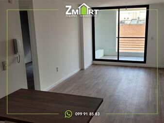 https://web5.gallito.com.uy/venta-apto-1-dormitorio-con-parrillero-en-balcon-centro-inmuebles-26114346