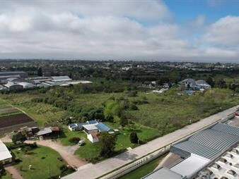 https://web5.gallito.com.uy/terreno-1-ha-frente-a-la-coca-cola-carrasco-norte-inmuebles-26168975