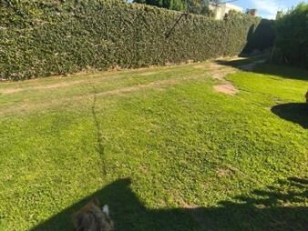https://www.gallito.com.uy/inversion-con-renta-activa-apartamento-en-planta-alta-inmuebles-26273179