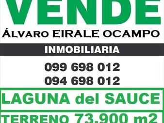 https://www.gallito.com.uy/-laguna-del-sauce-terreno-73900-m2-con-costa-inmuebles-26307634