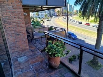 https://web5.gallito.com.uy/bajo-exclusiva-planta-frente-al-puerto-del-buceo-inmuebles-24323991
