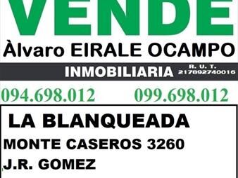 https://www.gallito.com.uy/-espectacular-e-impecable-comercial-o-industrial-2628-m2-inmuebles-26443055