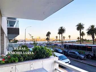 https://web5.gallito.com.uy/patio-50m2-sol-apaisado-calef~vig~gge~-inmuebles-26463820