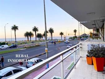 https://www.gallito.com.uy/patio-50m2-sol-apaisado-calef~vig~gge~-inmuebles-26463831