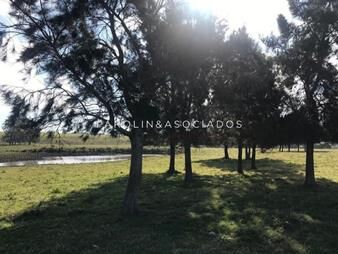 https://www.gallito.com.uy/chacra-con-muy-linda-vista-inmuebles-17853229