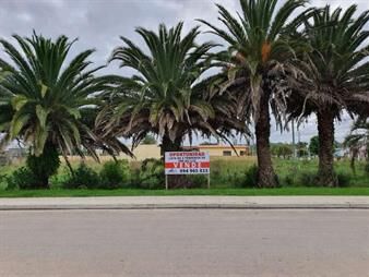 https://www.gallito.com.uy/venta-4-terrenos-en-la-ciudad-de-rocha-inmuebles-26636501