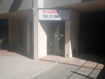 https://web5.gallito.com.uy/venta-avenida-italia-local-parque-batlle-hospital-clinicas-inmuebles-26676199
