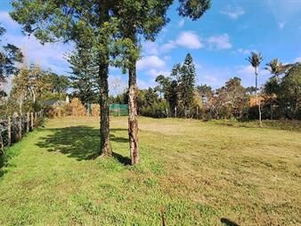 https://www.gallito.com.uy/terreno-en-venta-barrio-el-golf-punta-del-este-inmuebles-26707101