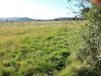 https://www.gallito.com.uy/campo-ganadero-cerca-de-aigua-617-ha-inmuebles-27657519