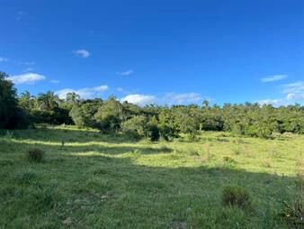 https://www.gallito.com.uy/campo-en-venta-rocha-inmuebles-26755065