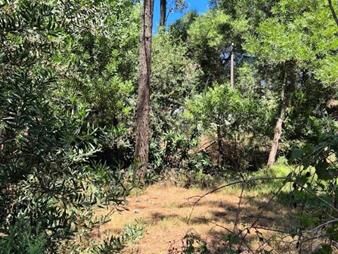 https://www.gallito.com.uy/el-pinar-sur-terreno-alto-inmuebles-26830273