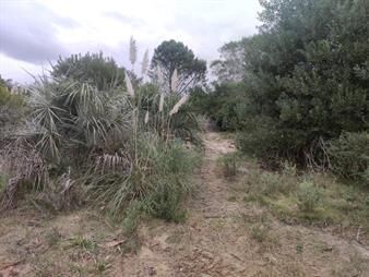 https://www.gallito.com.uy/dueña-vende-terreno-baldio-en-santa-isable-de-la-pedrera-inmuebles-26844739