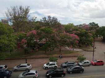https://web5.gallito.com.uy/venta-pque-rodo-barrio-jardin-3-dormitorios-3-baños-2gges-inmuebles-26848579