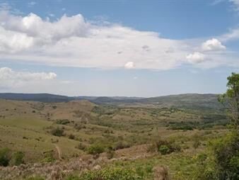 https://www.gallito.com.uy/dueño-vende-chacra-en-la-sierra-de-los-rocha-inmuebles-26874599