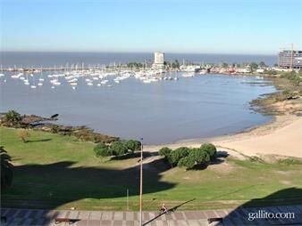 https://web5.gallito.com.uy/venta-apartamento-puerto-buceo-3-suites-parrillero-2-gges-inmuebles-26882144