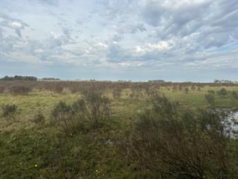 https://www.gallito.com.uy/dueña-vende-campo-a-5-minutos-de-lascano-inmuebles-27037039