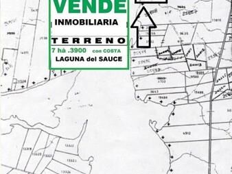https://www.gallito.com.uy/-laguna-del-sauce-terreno-73900-m2-costa-a-la-laguna-inmuebles-25992654