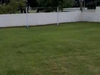 https://web5.gallito.com.uy/diri-teodoro-alvarez-prox-a-br-battle-y-ordoñez-734m2-sin-inmuebles-27129564