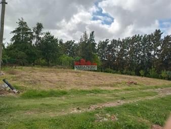 https://web5.gallito.com.uy/amplio-terreno-inmuebles-27143130