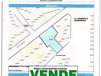 https://web5.gallito.com.uy/zona-a-n-v-terreno-1785-m2-monte-caseros-3260-inmuebles-20284959