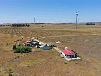https://www.gallito.com.uy/establecimiento-de-104-has-agricola-ganadero-inmuebles-27638766